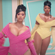 Cardi B and Megan Thee Stallion